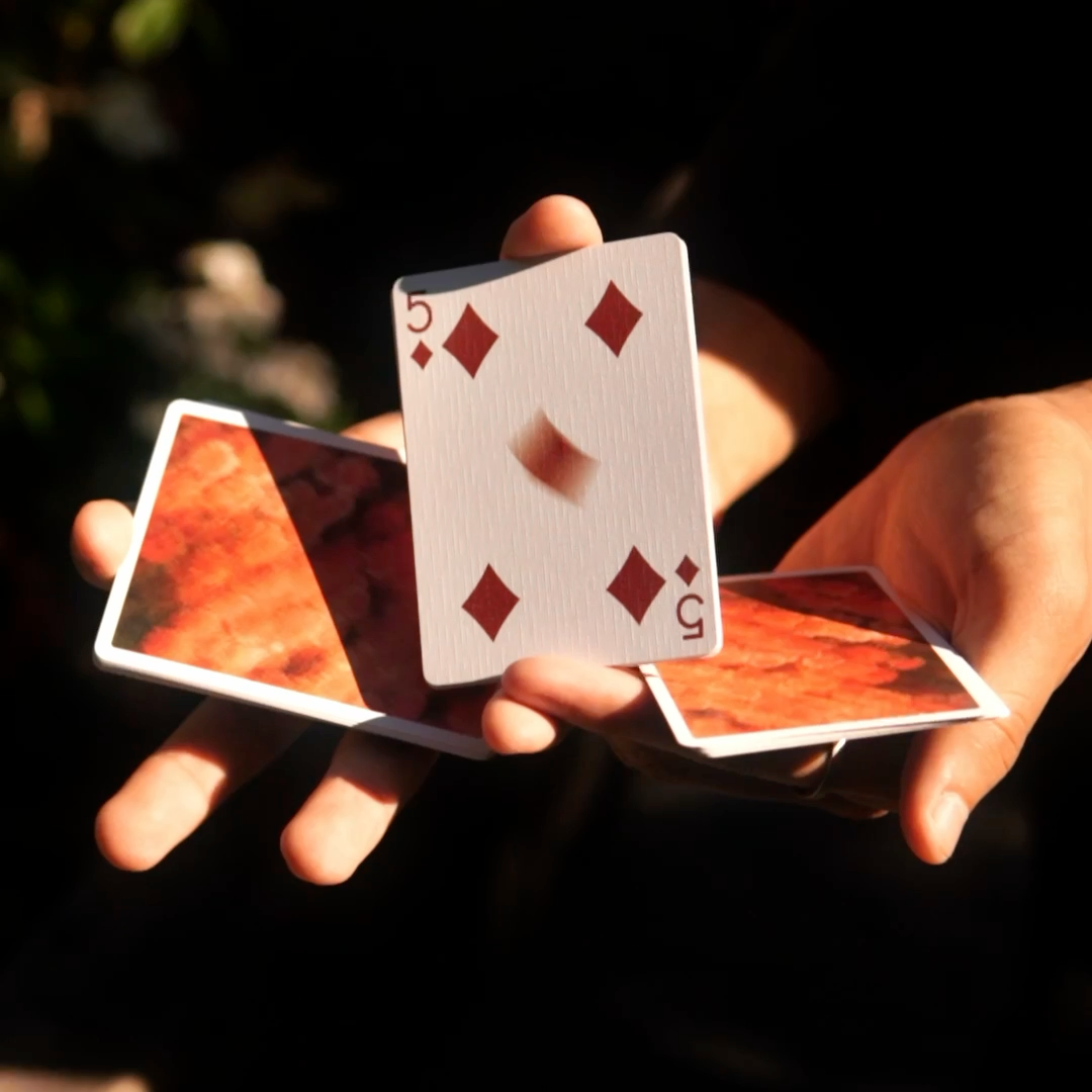 REVERIE Playing Cards