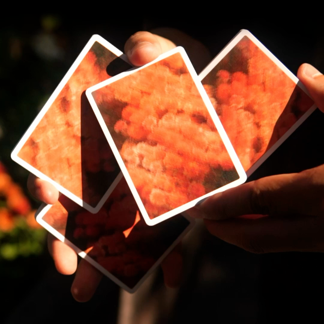 REVERIE Playing Cards