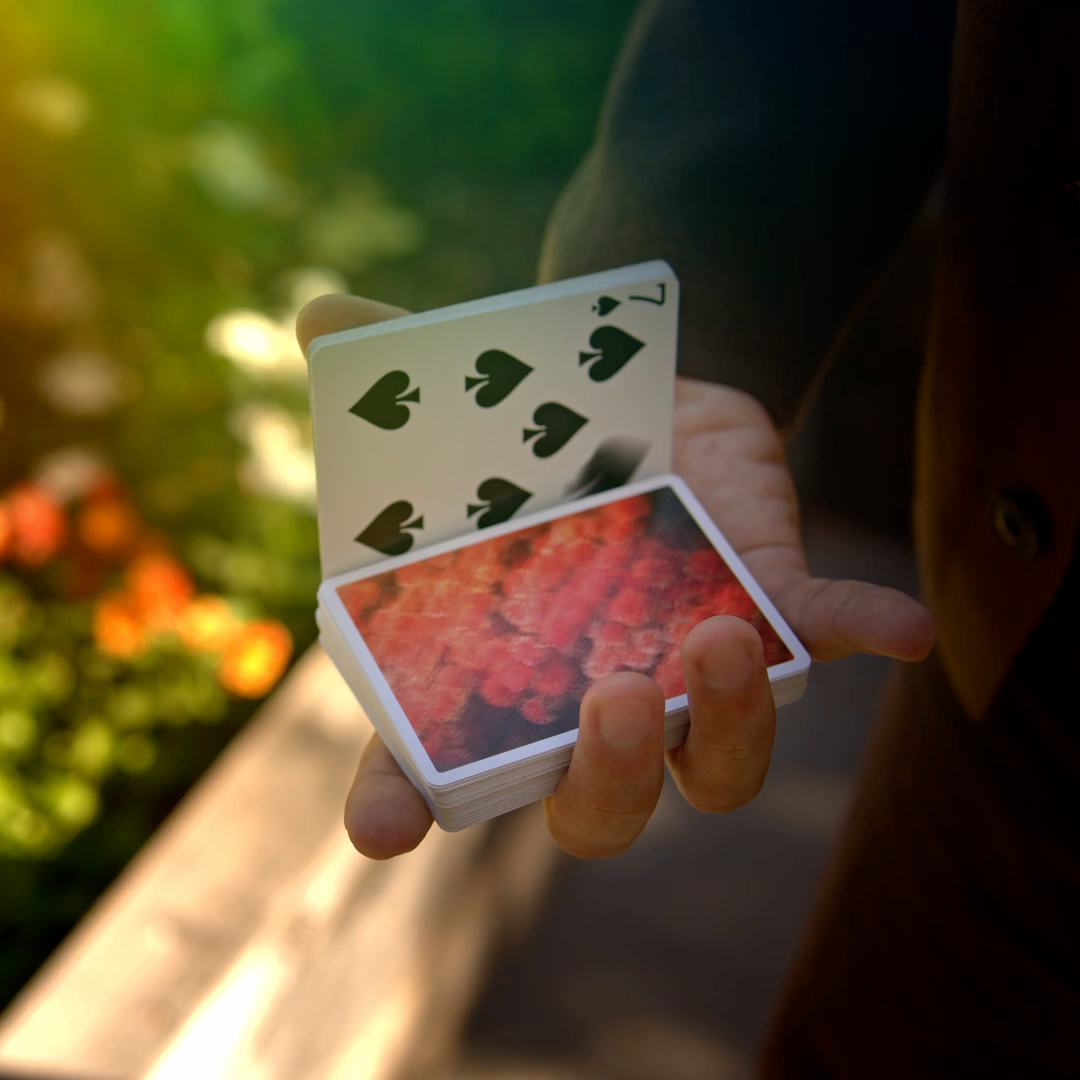 REVERIE Playing Cards