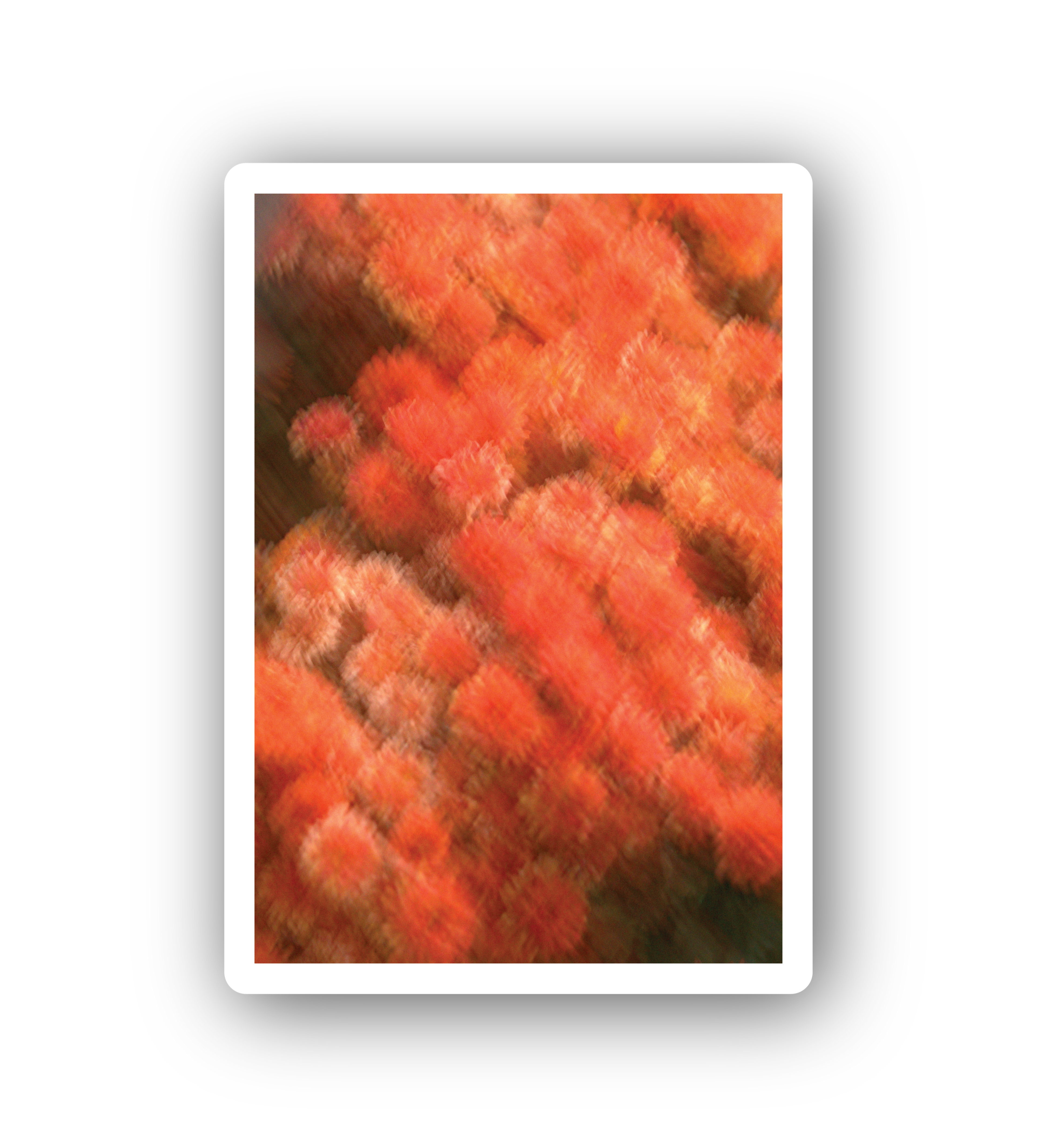 REVERIE Playing Cards